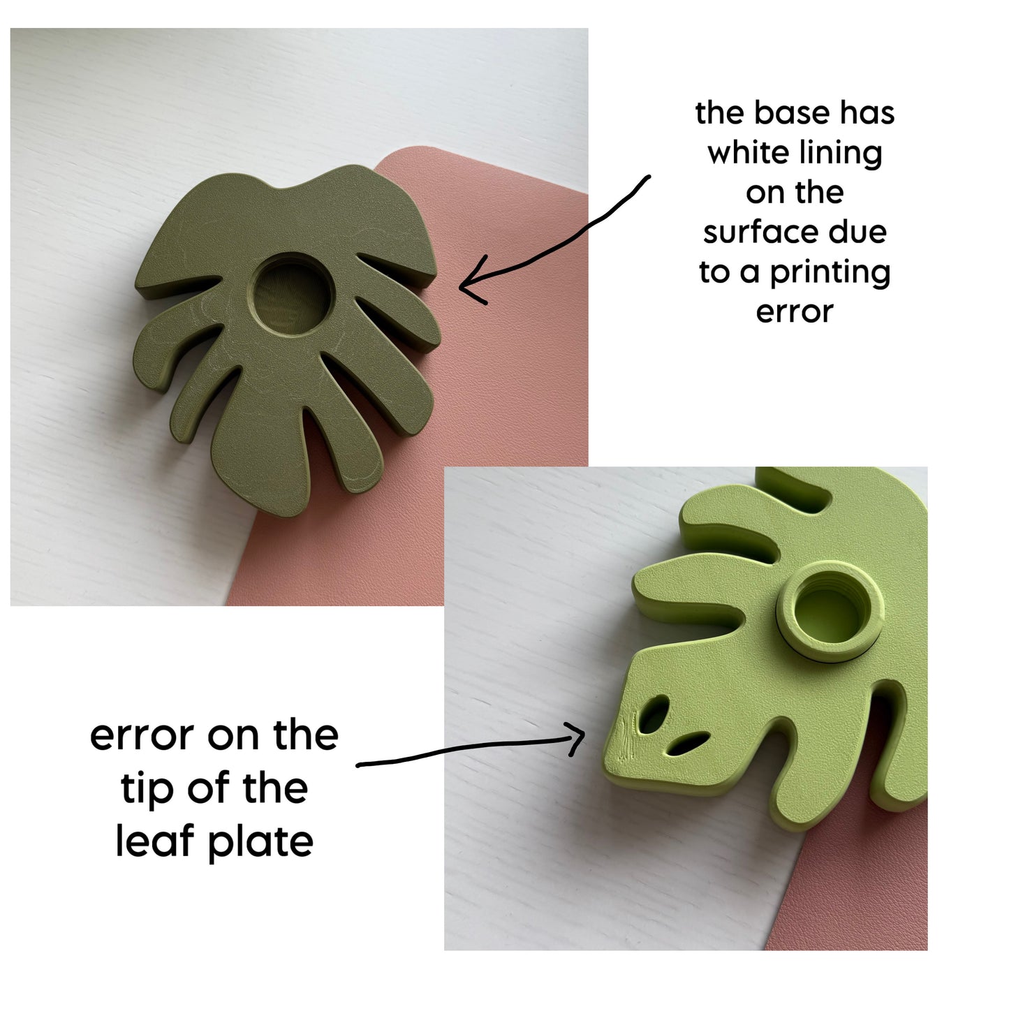 Second Chance Monstera Spinner