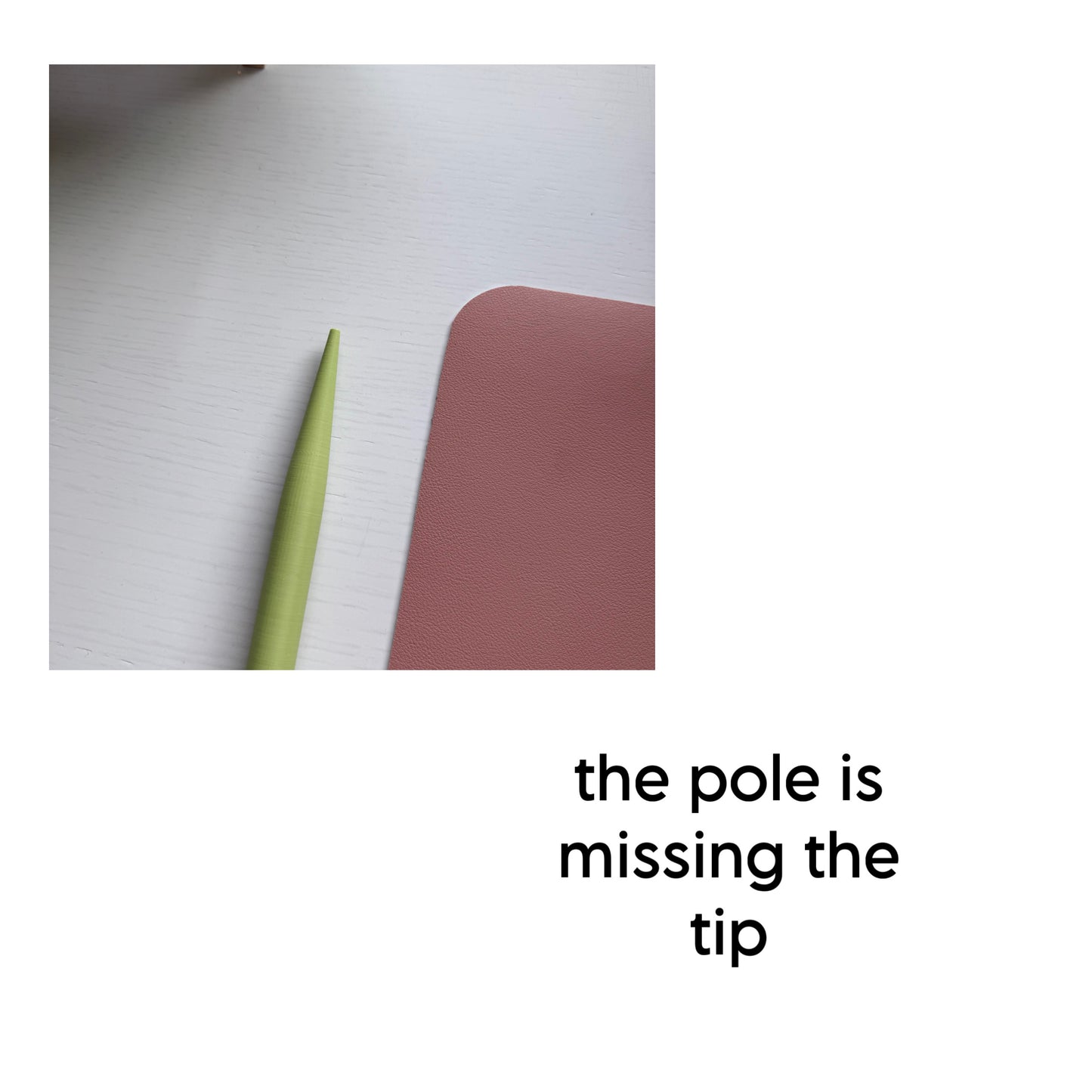 Second Chance Monstera Spinner