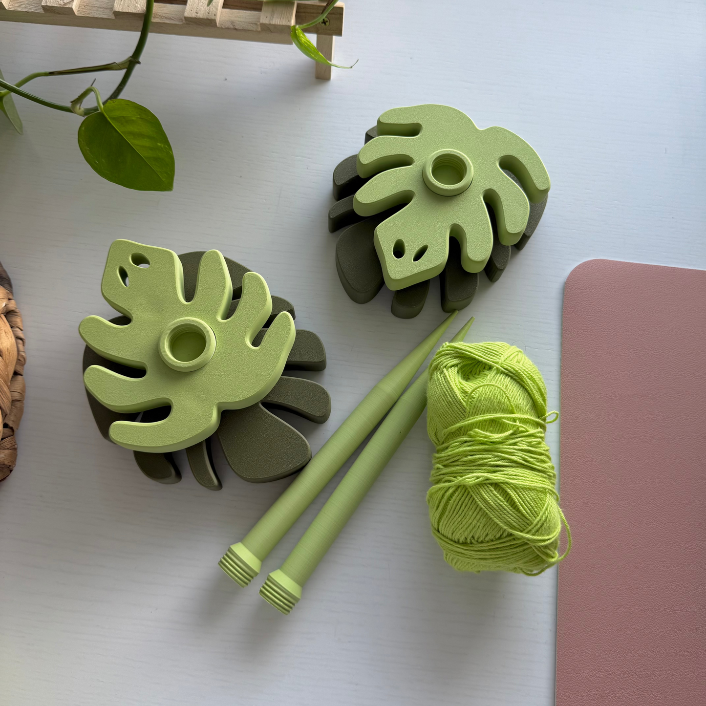 Monstera Plant Spinner