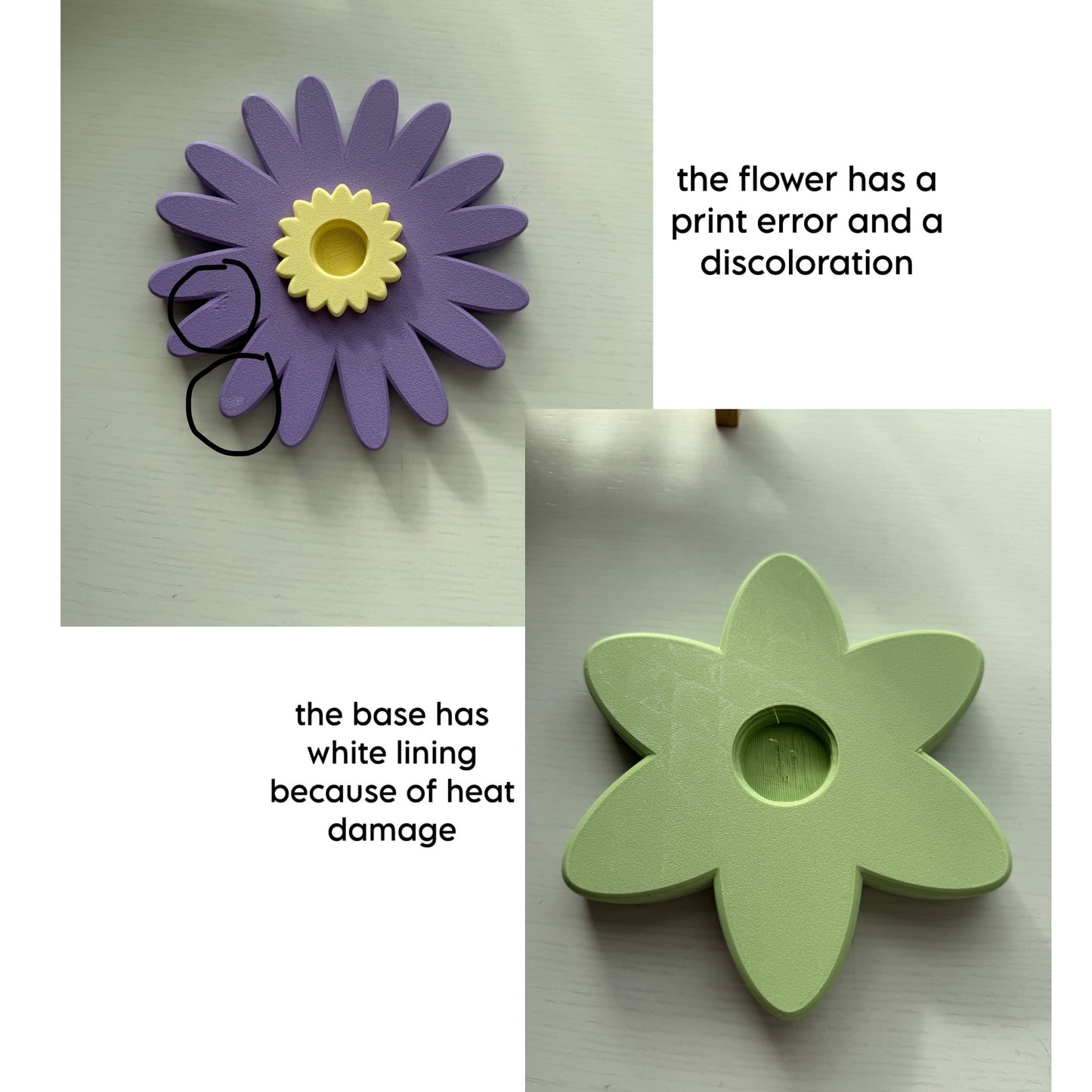 Second Chance Aster Spinner (Wisteria-Pistachio)