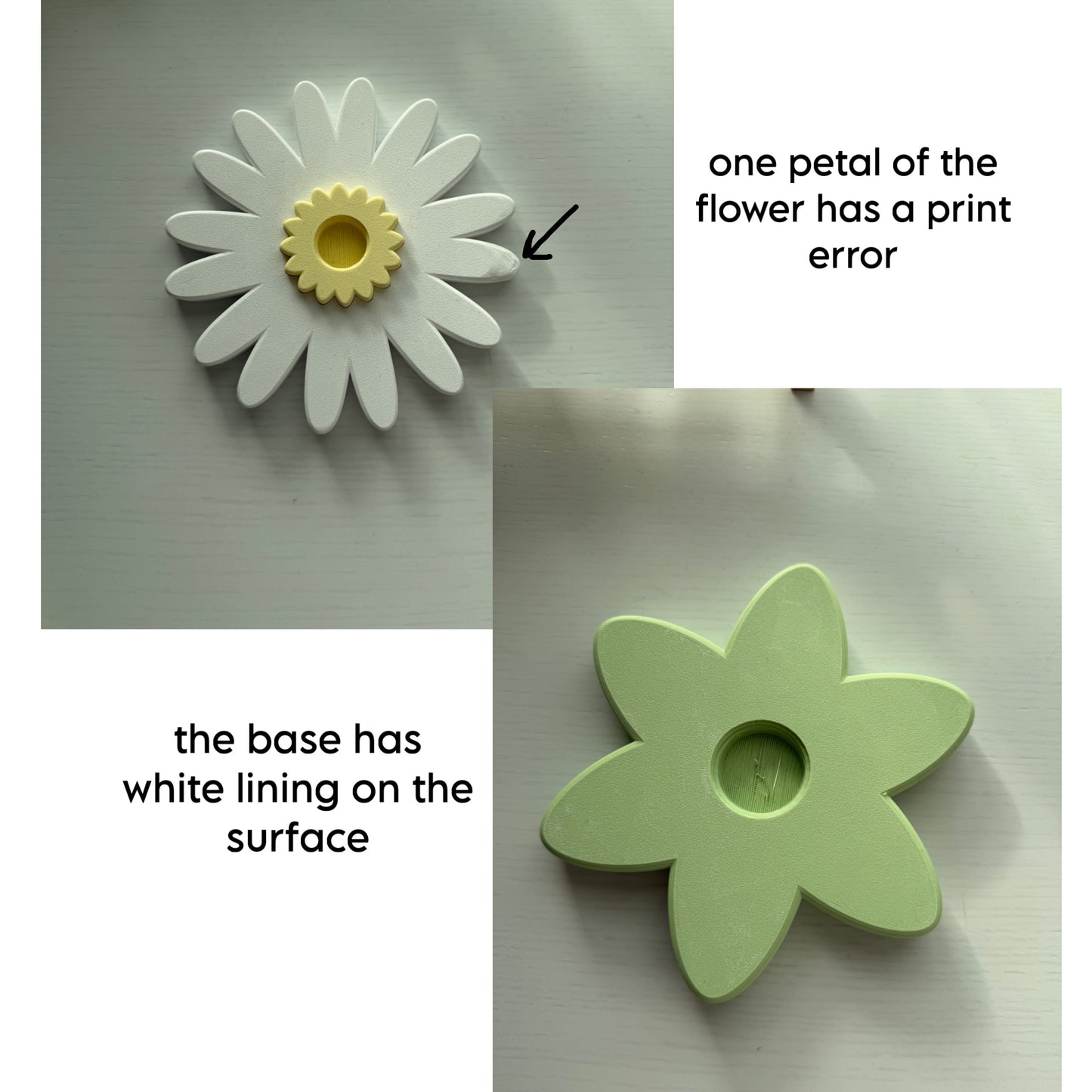 Second Chance Chamomile Spinner