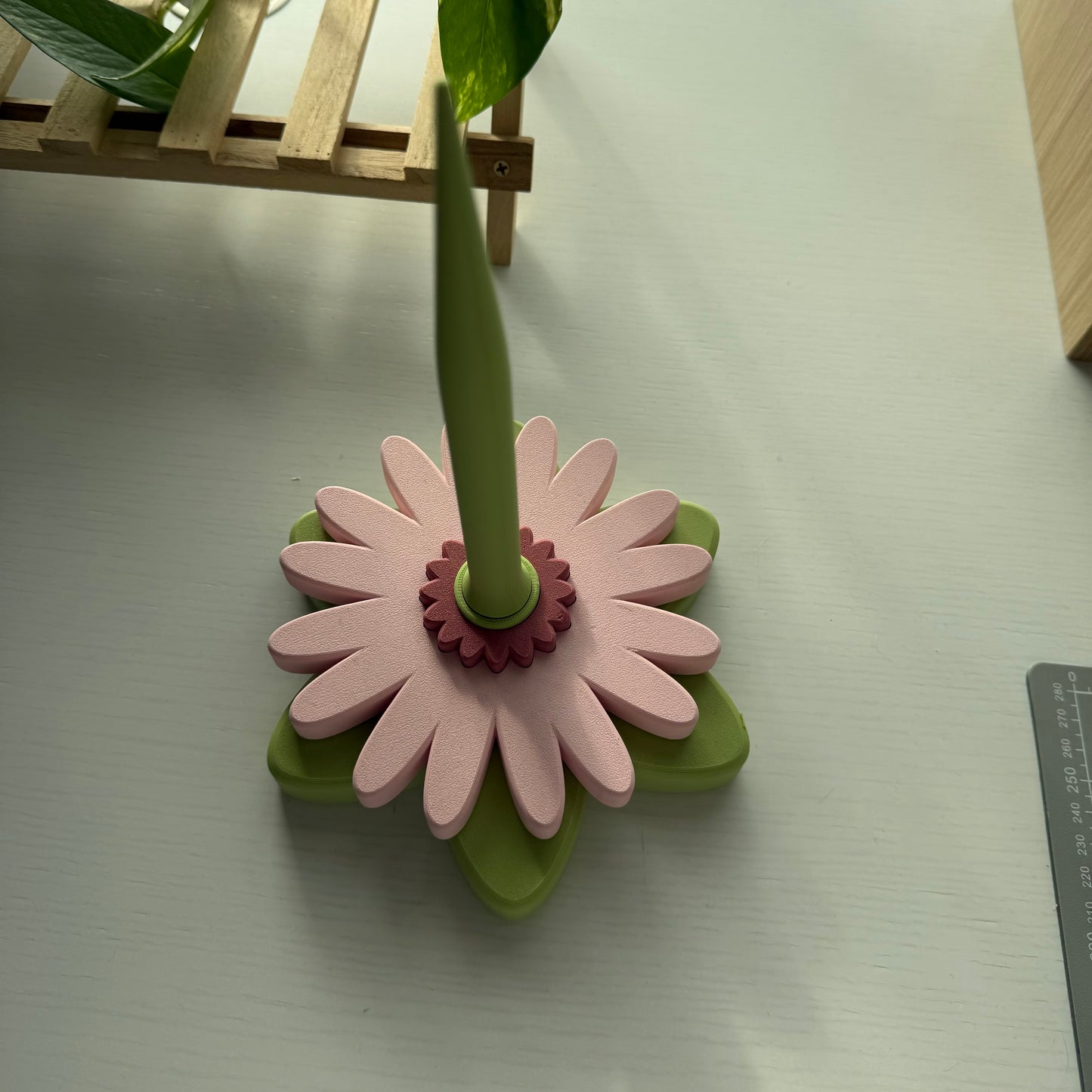 Second Chance Gerbera Spinner