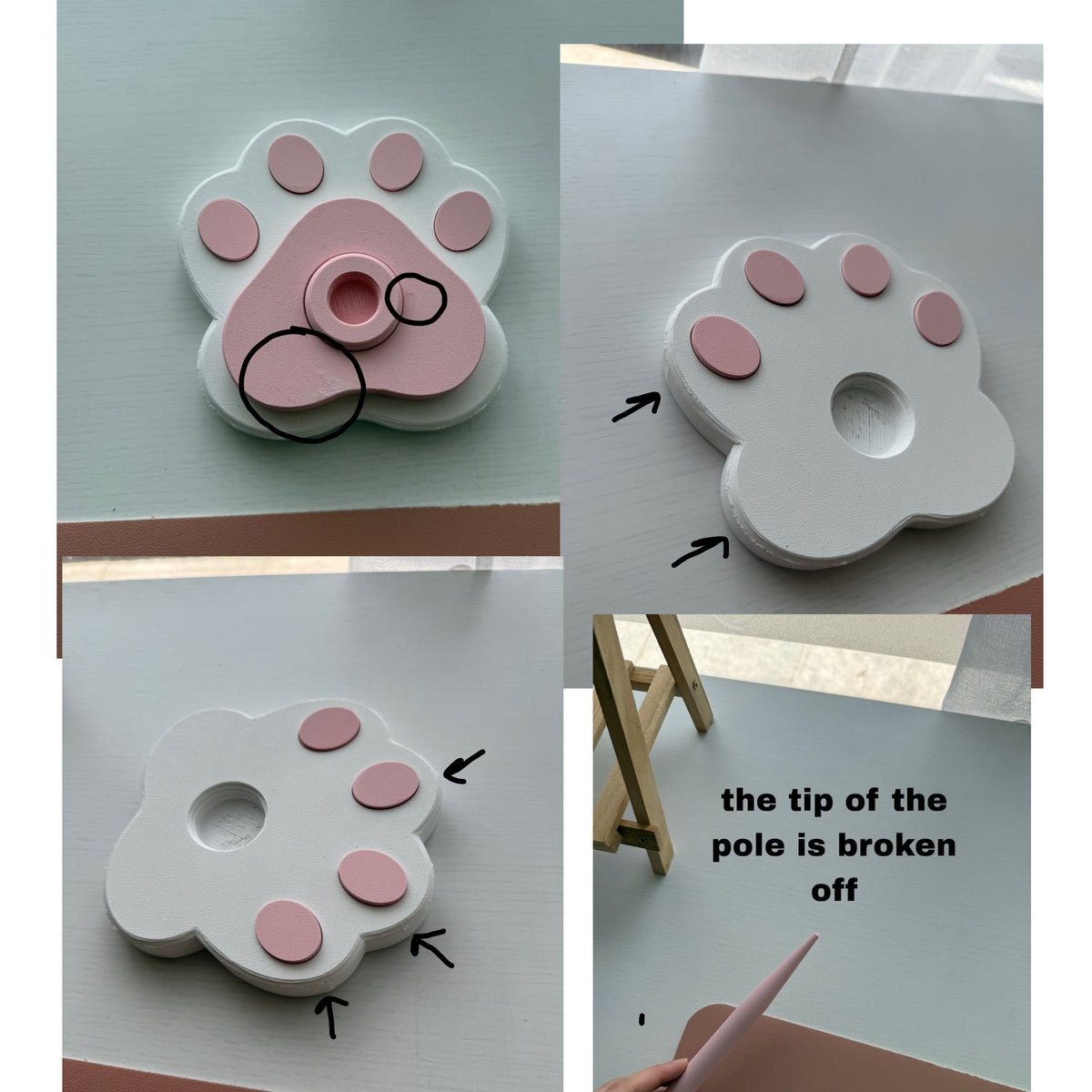 Second Chance Paw Spinner