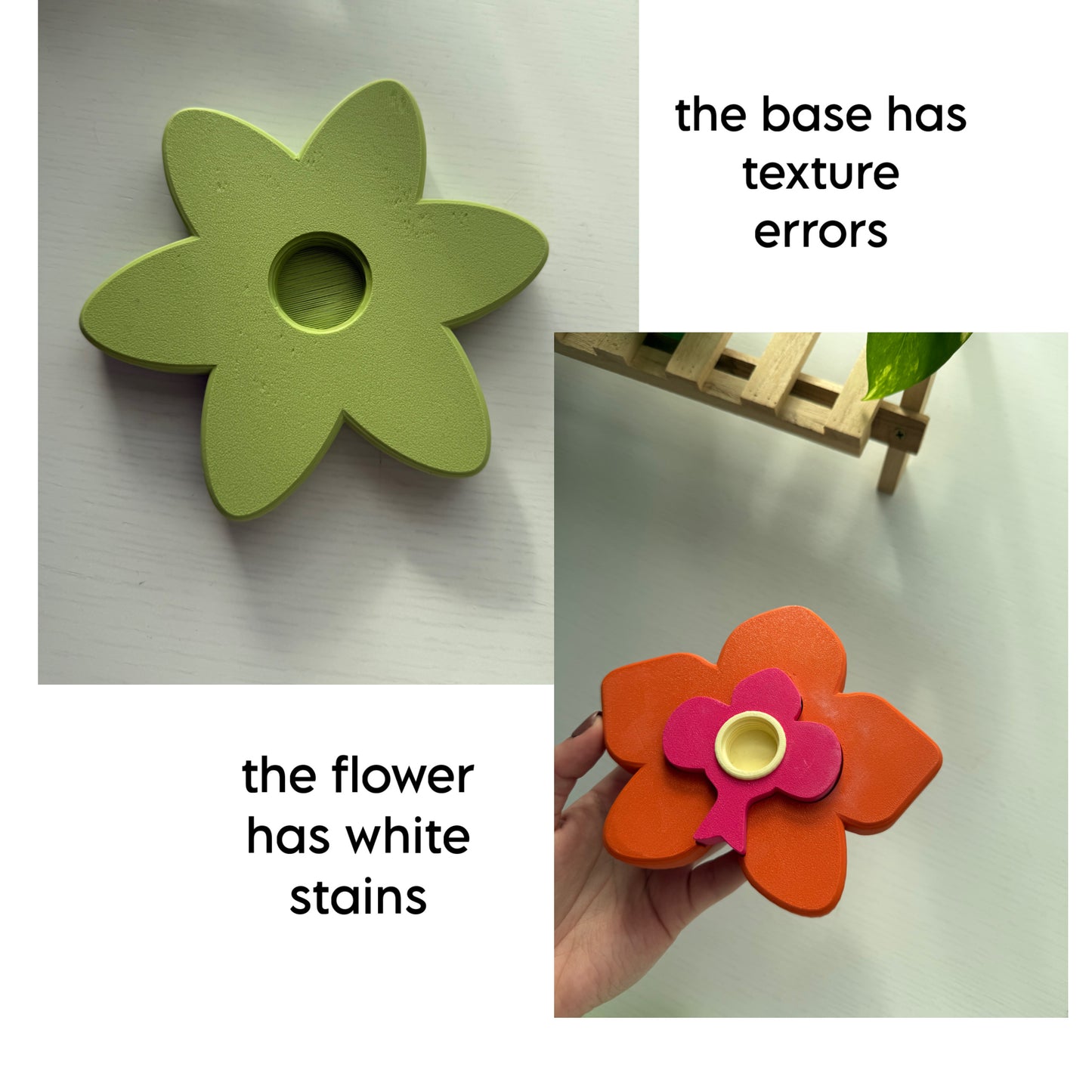 Second Chance Orchid Spinner (Matcha)
