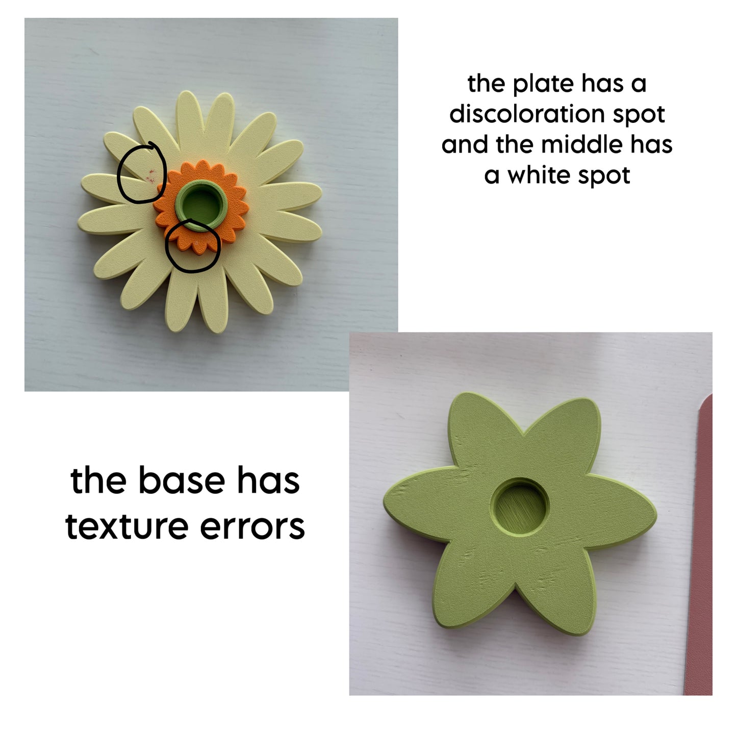 Second Chance Gerbera Spinner