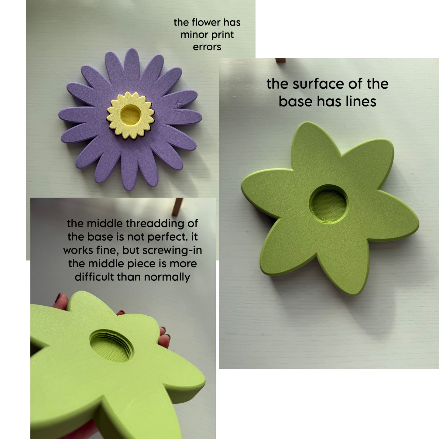Second Chance Aster Spinner (Wisteria-Matcha)