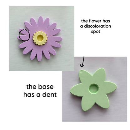 Second Chance Aster Spinner (Pistachio)