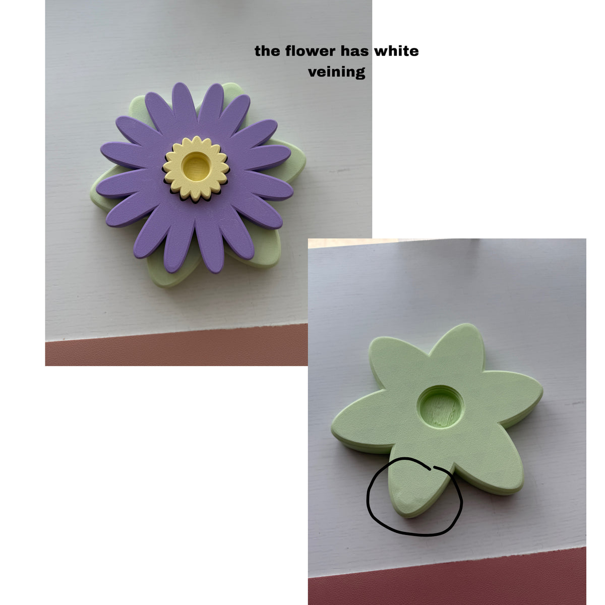 Second Chance Aster Spinner (Pistachio)