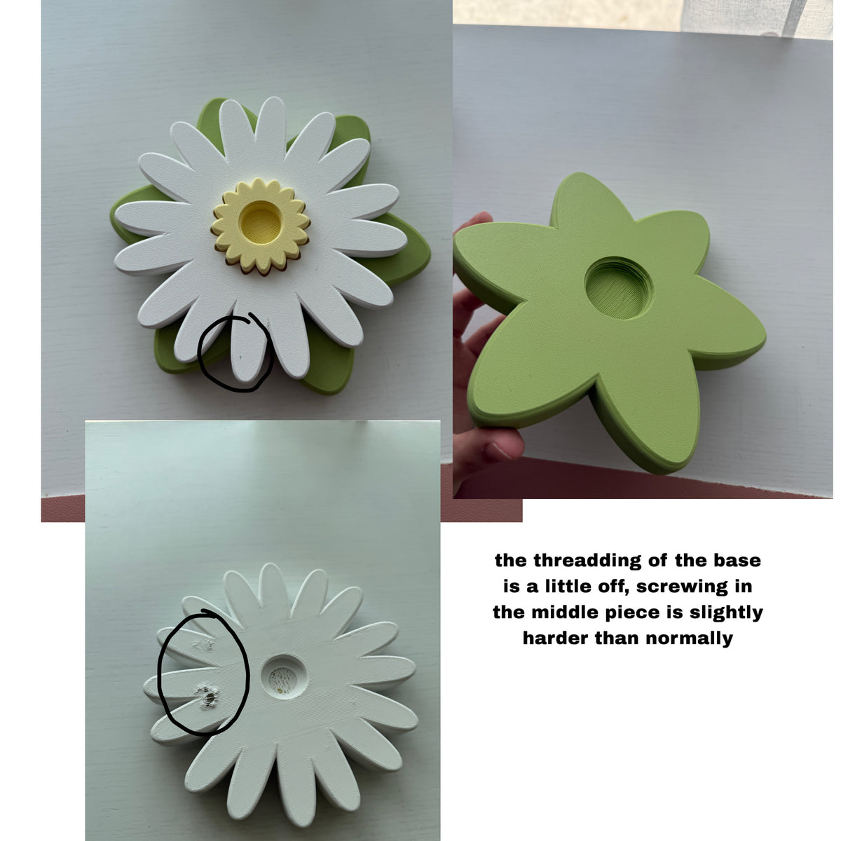Second Chance Aster Spinner (Matcha)