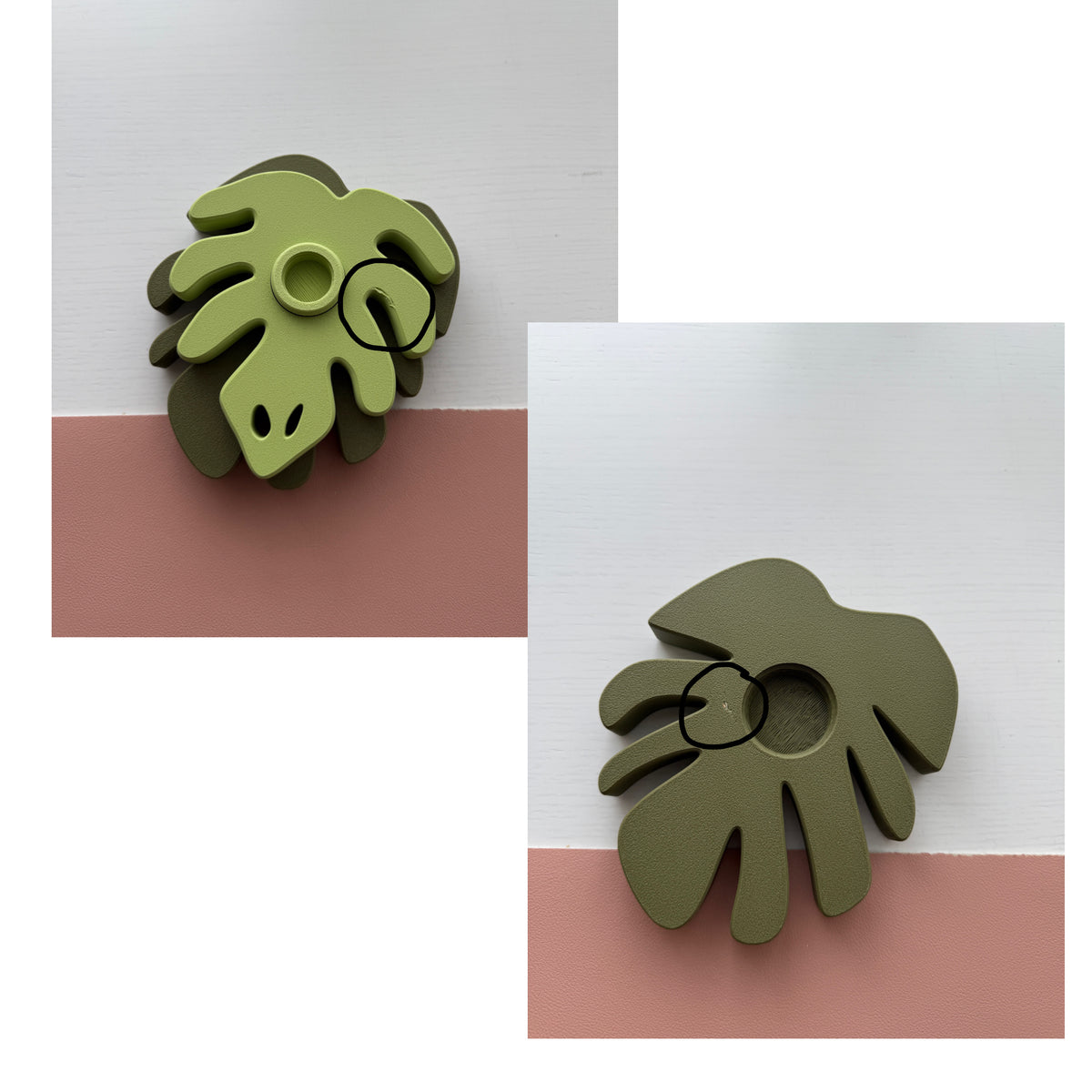 Second Chance Monstera Spinner