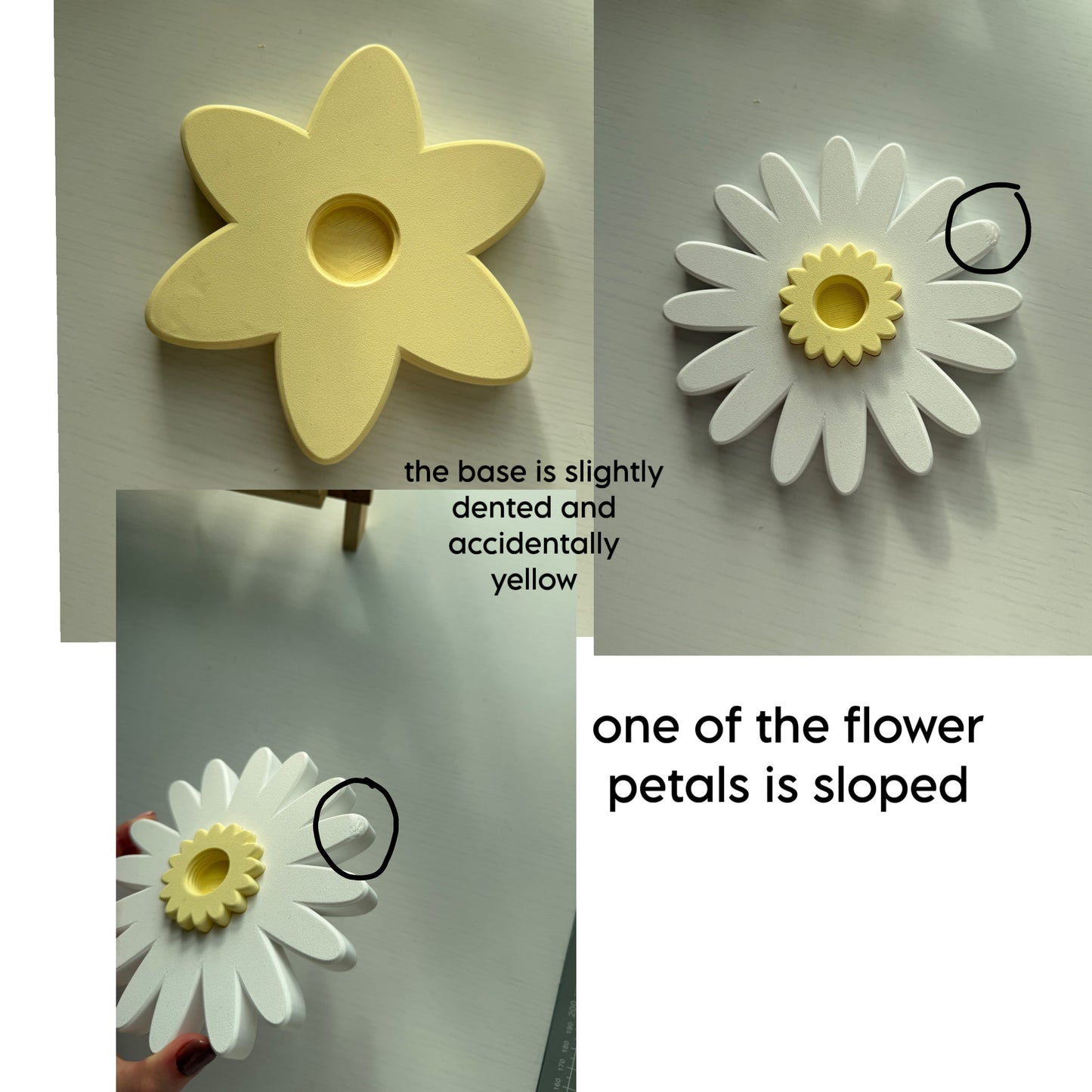 Second Chance Chamomile Spinner