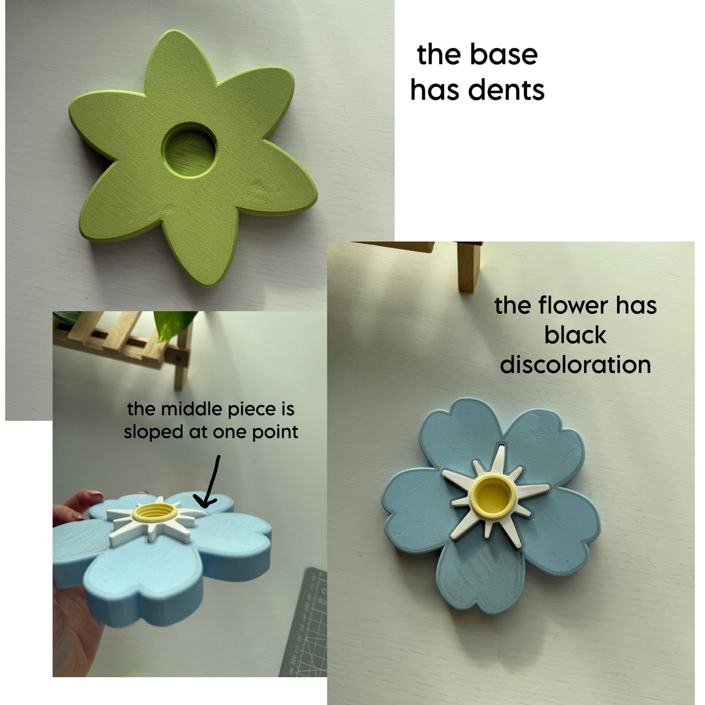 Second Chance Forget Me Not Spinner