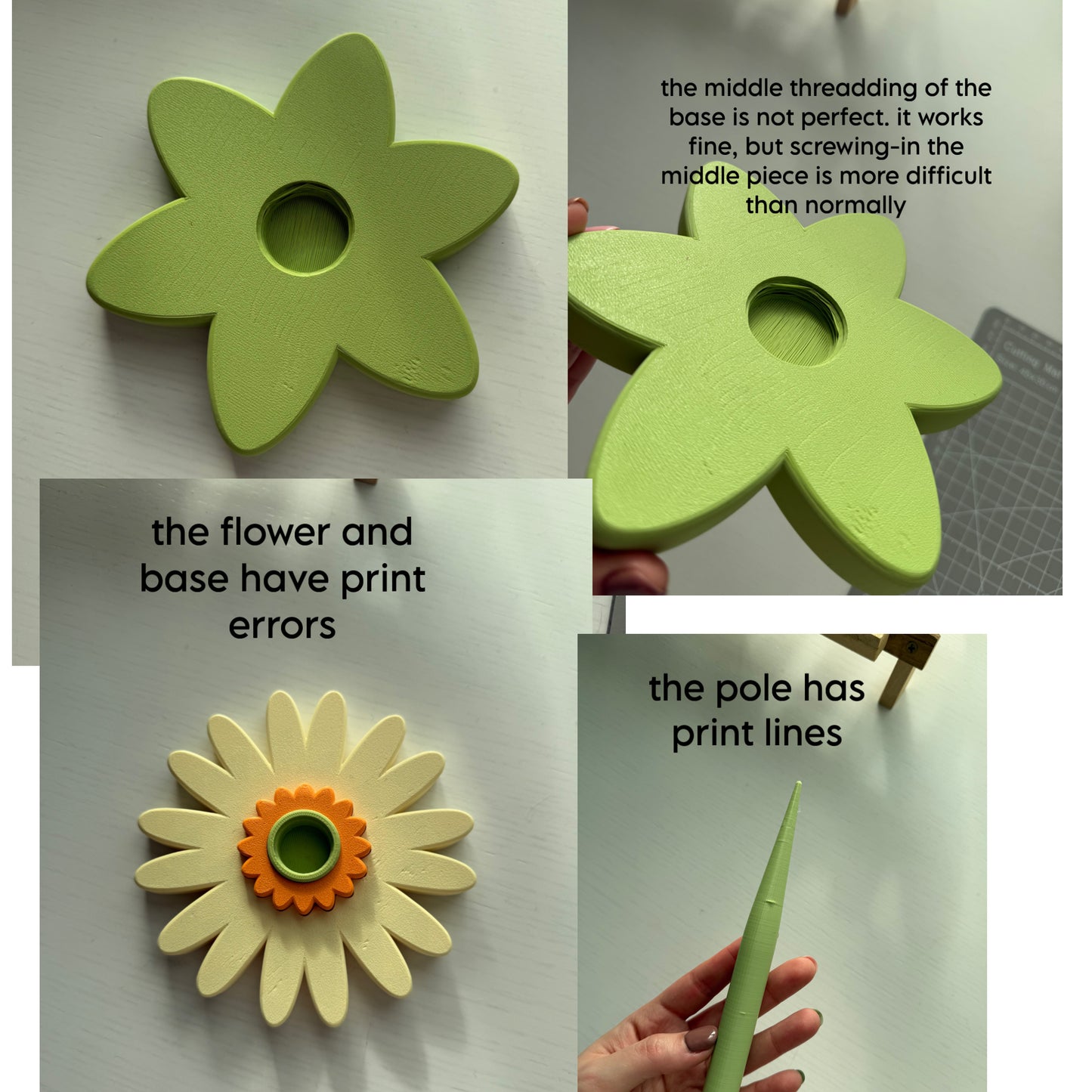 Second Chance Gerbera Spinner