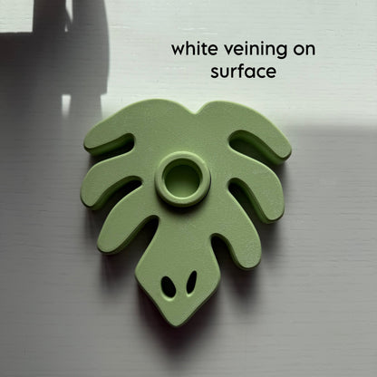 Second Chance Monstera Plates