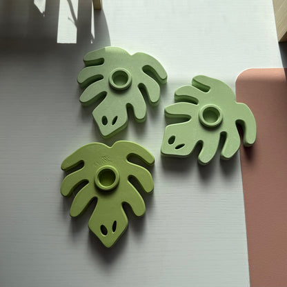 Second Chance Monstera Plates